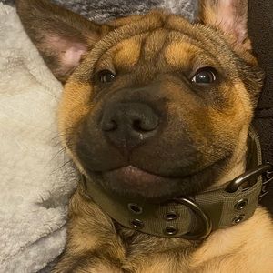 Meet your Posher, Ehi